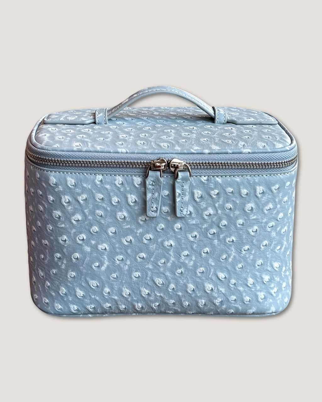 Medium Train Case