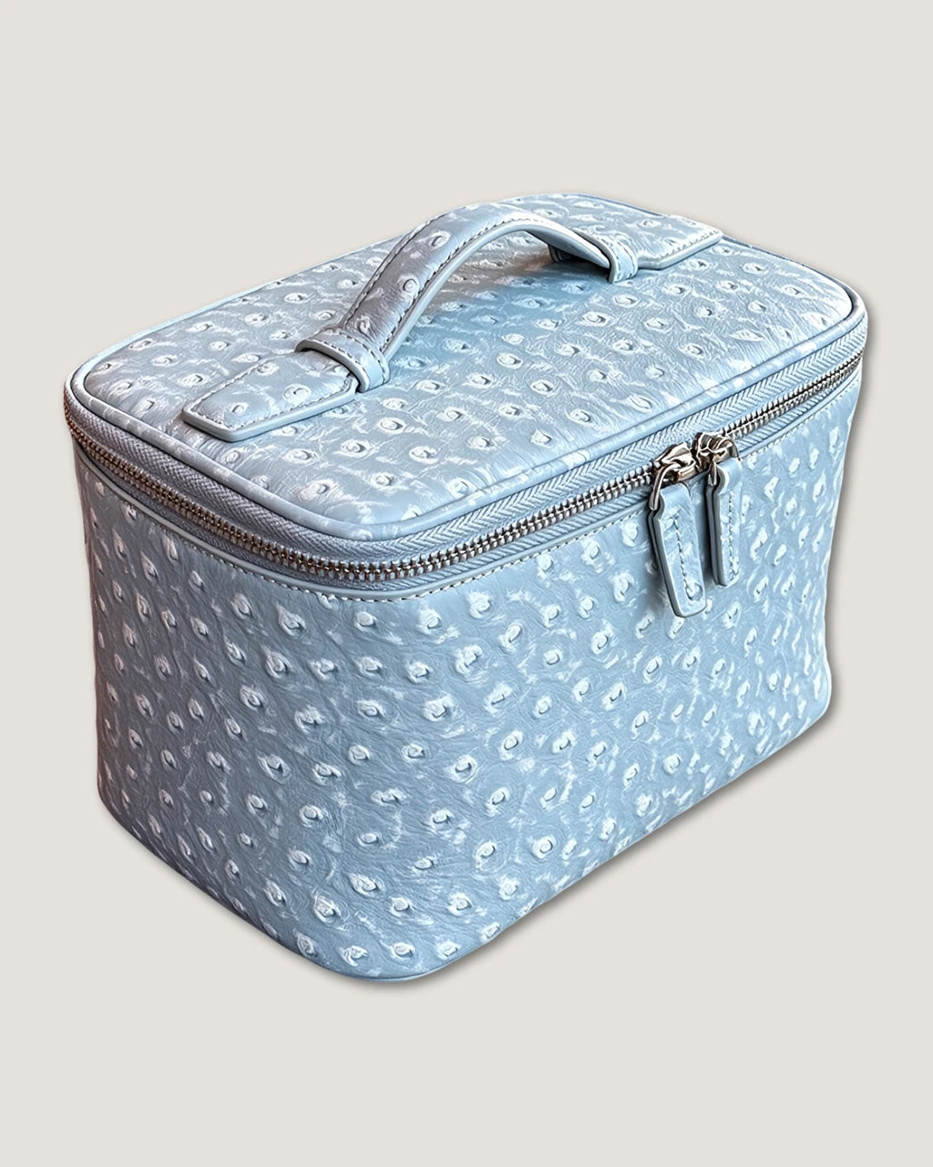 Medium Train Case