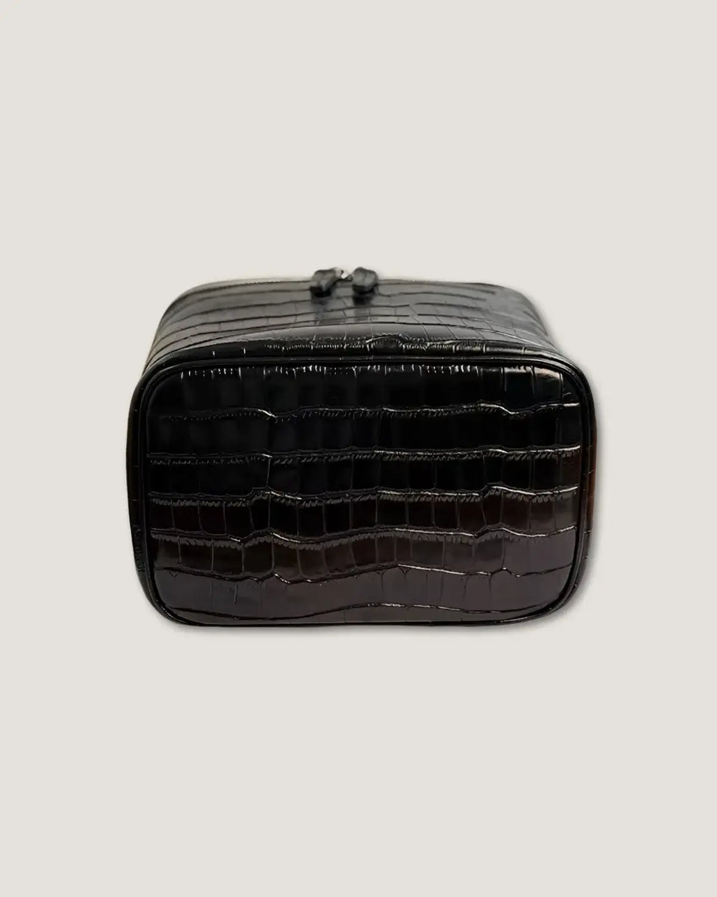 Medium Train Case