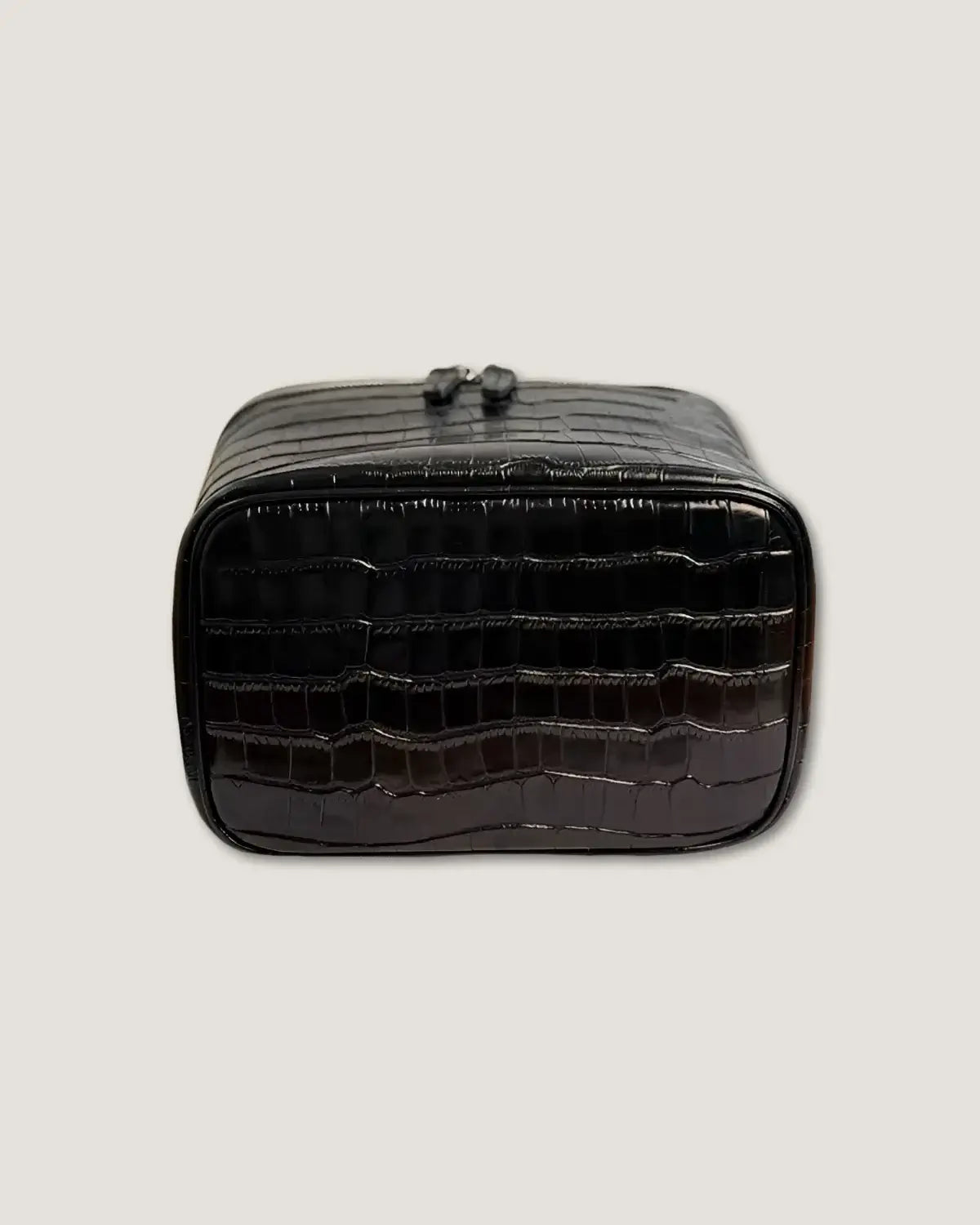 Medium Train Case