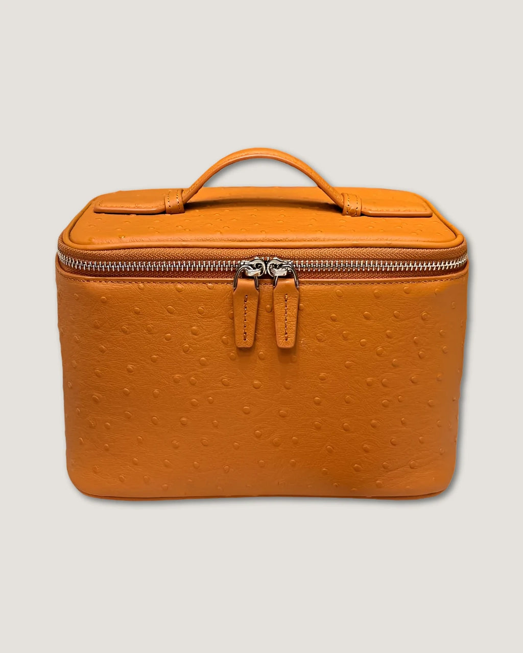 Medium Train Case