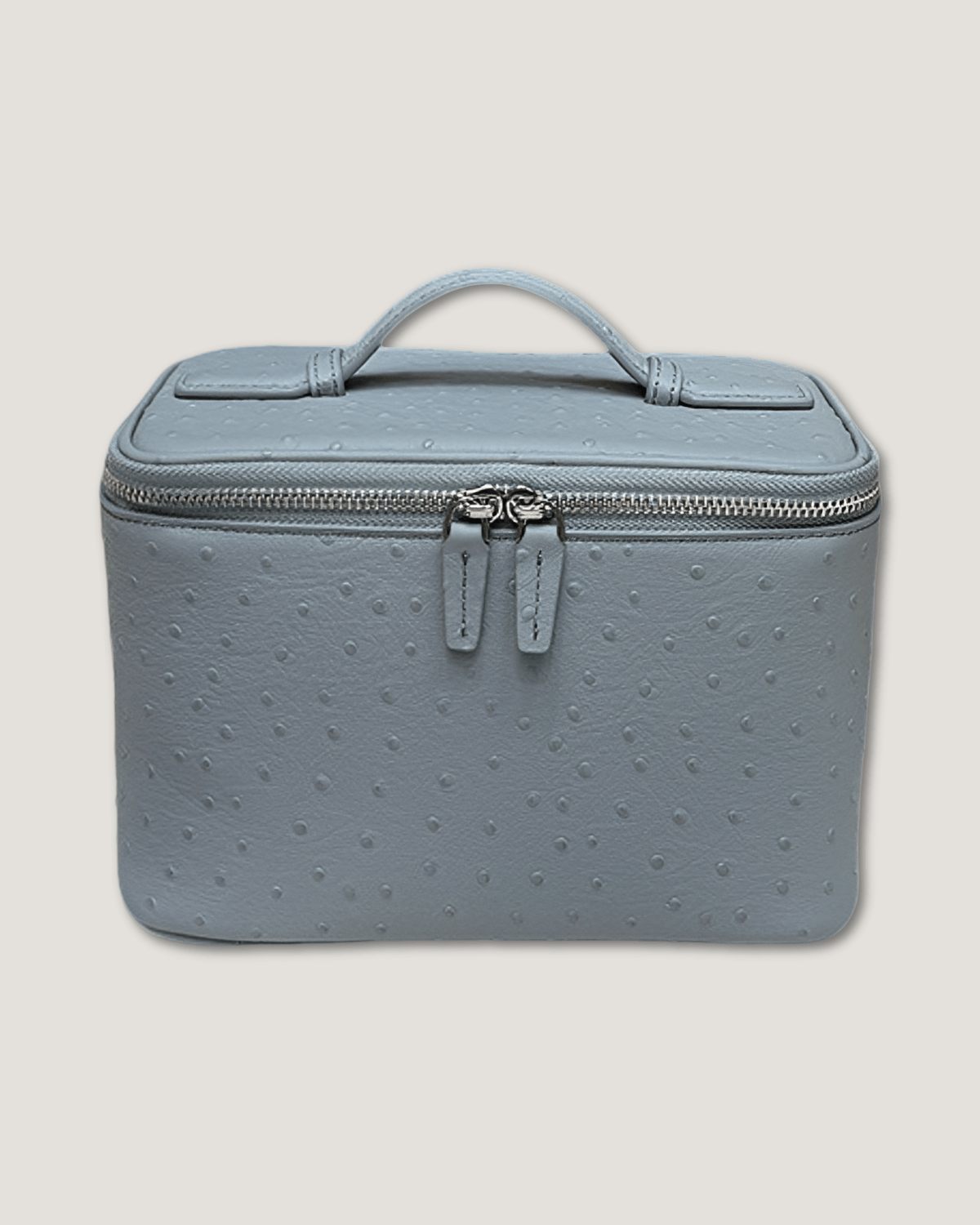 Medium Train Case