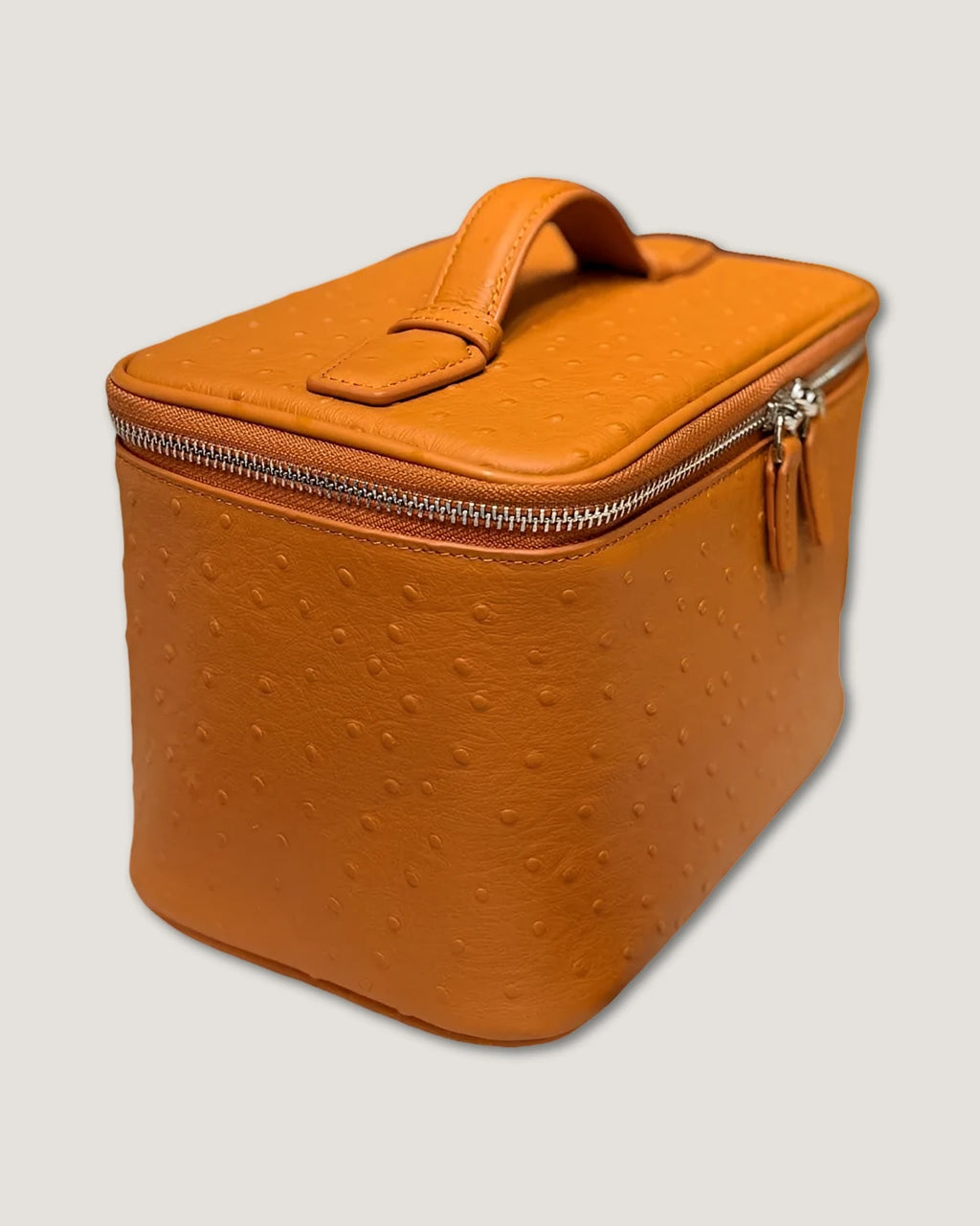 Medium Train Case