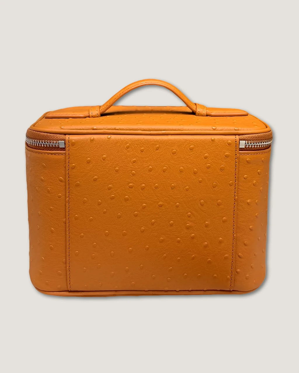 Medium Train Case