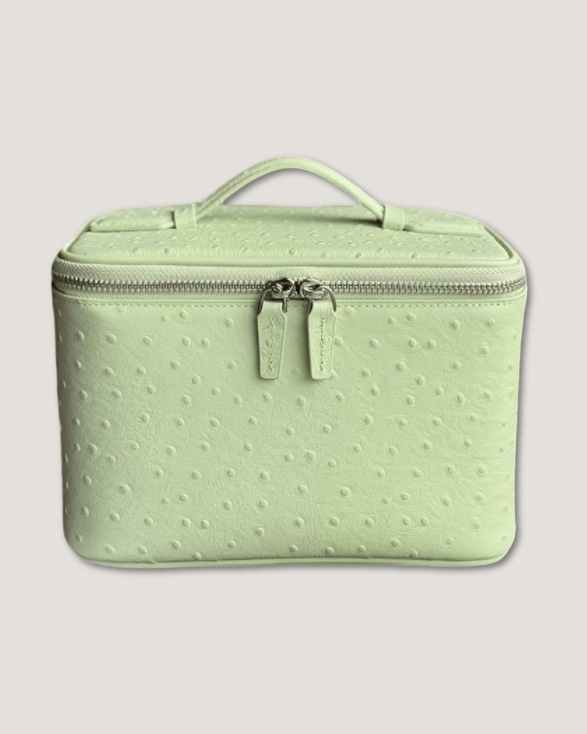 Medium Train Case