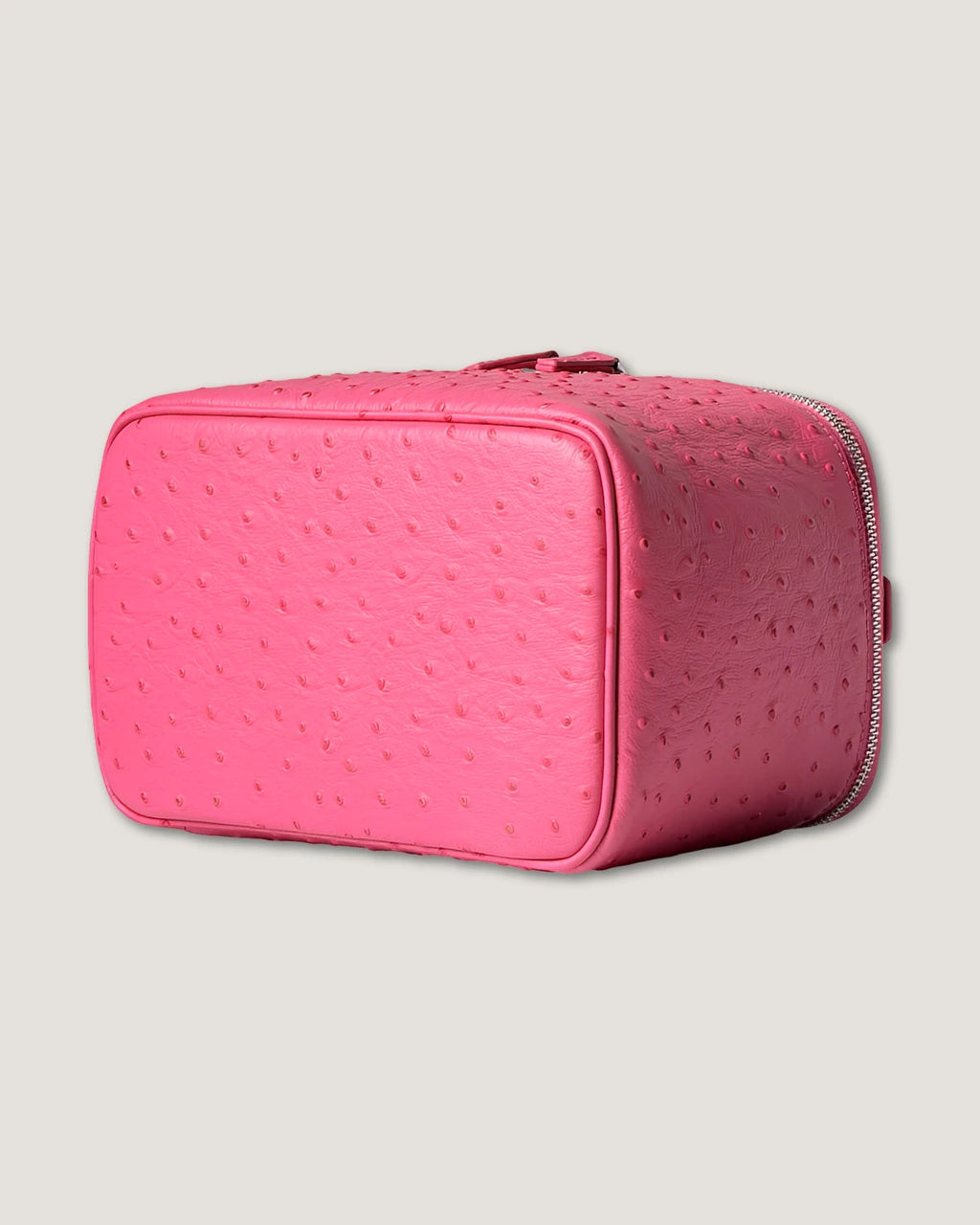 Medium Train Case