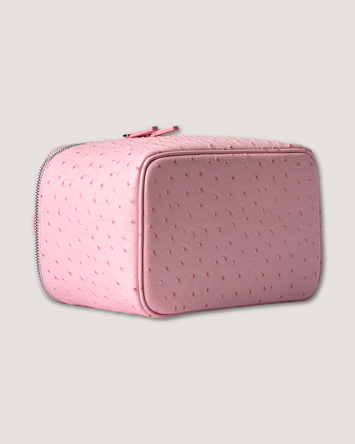 Medium Train Case