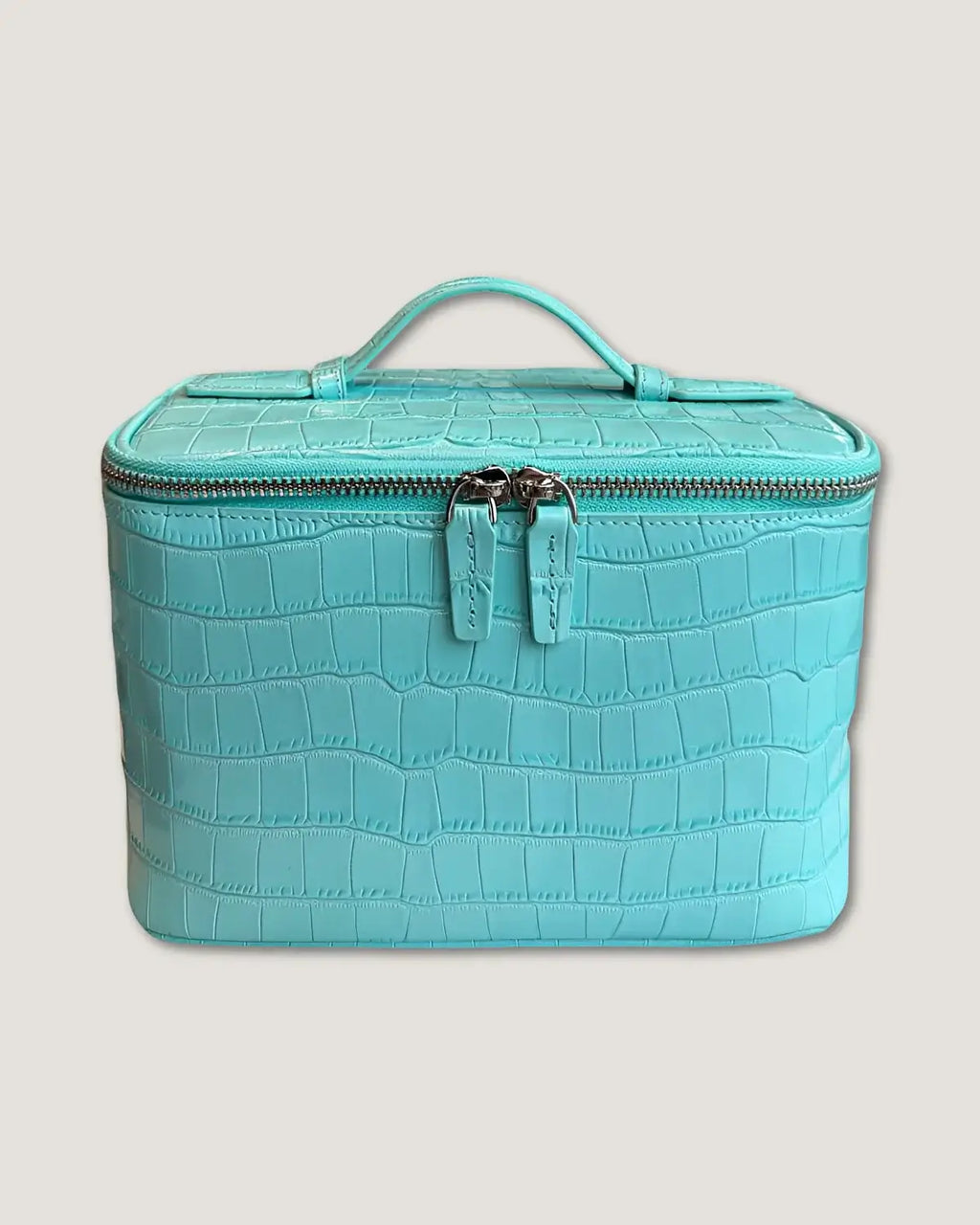 Medium Train Case