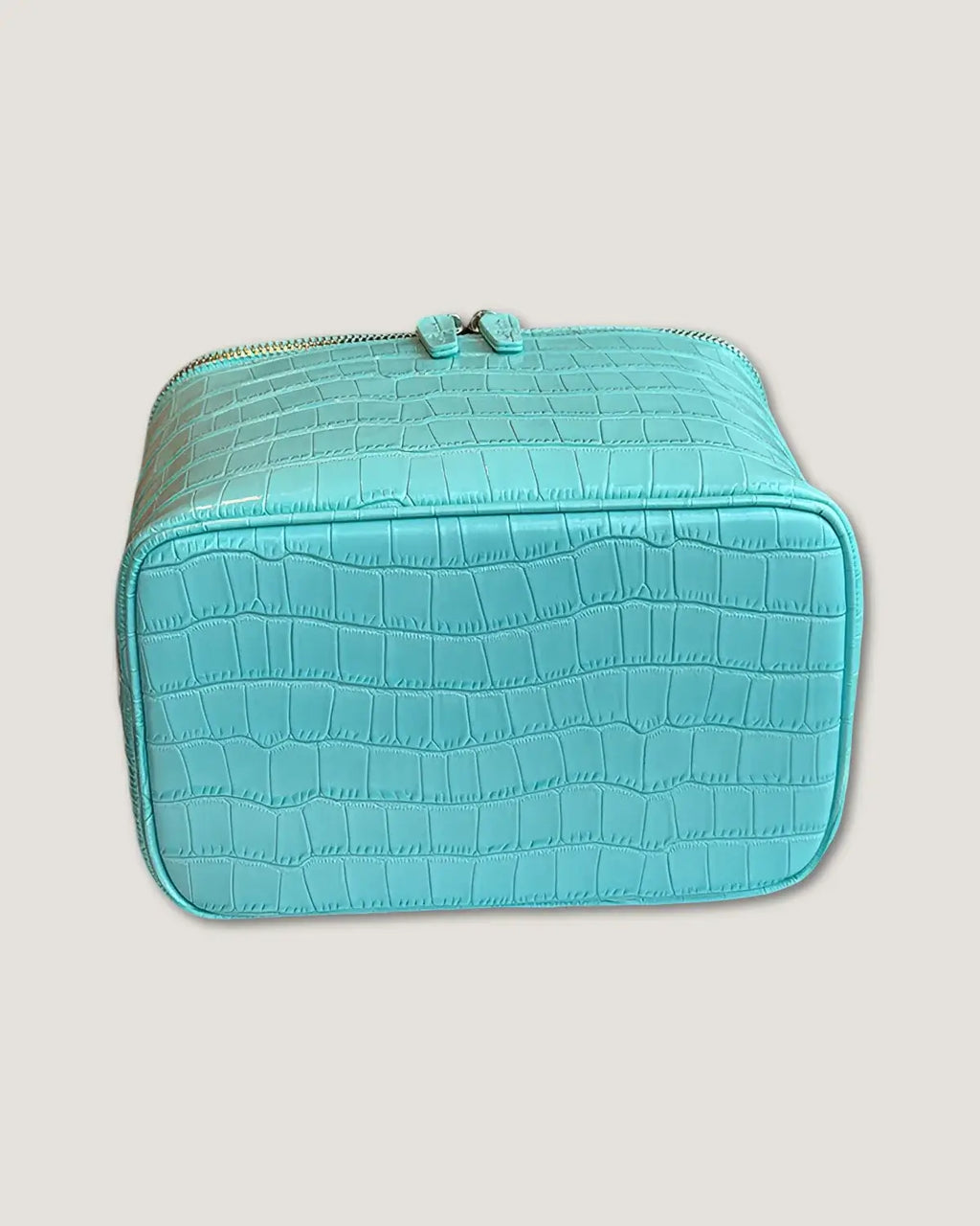 Medium Train Case