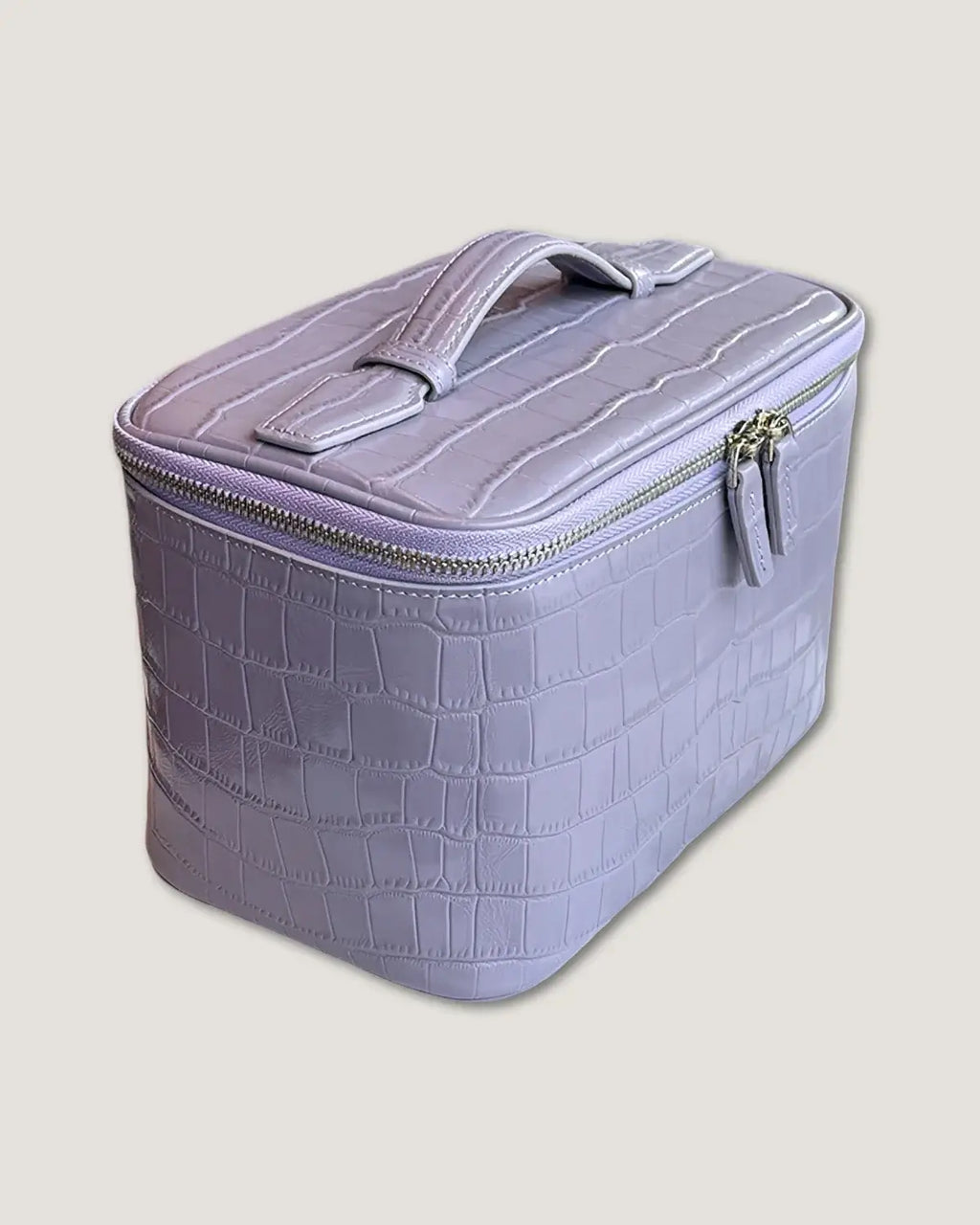Medium Train Case